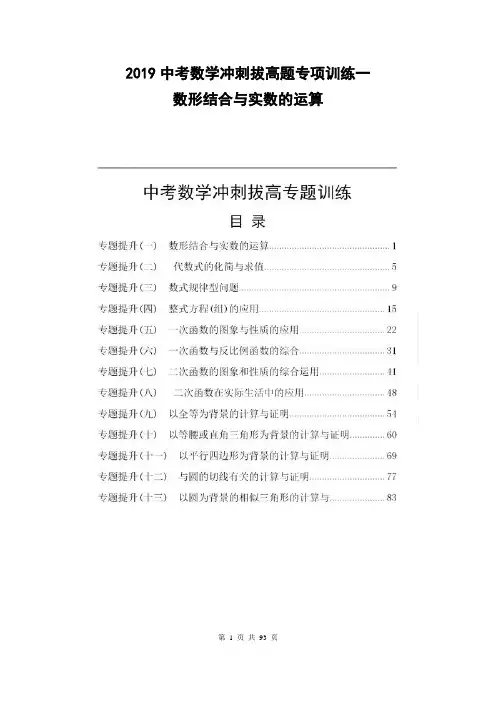 2020中考数学冲刺拔高题专项训练