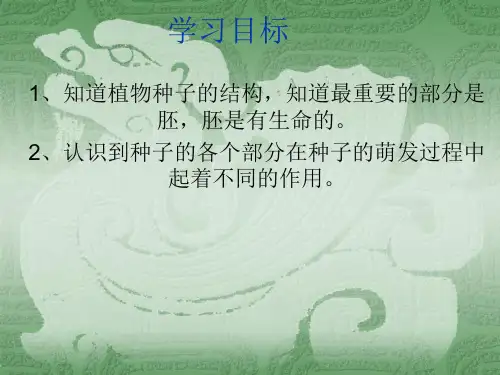 四年级下册科学课件1.2种子发芽鄂教版(共45张PPT)