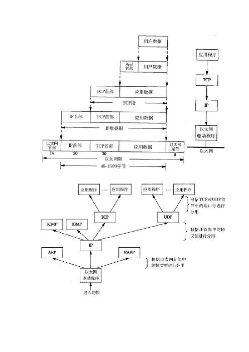 TCP IP帧格式