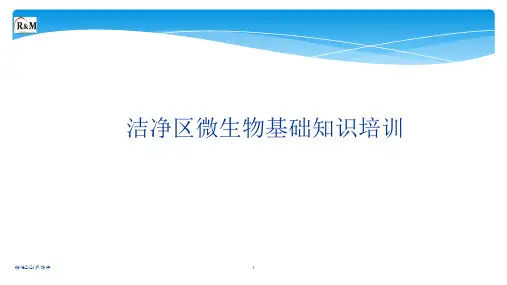 洁净区微生物基础知识
