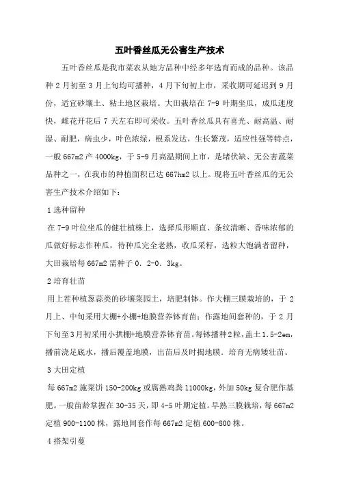 五叶香丝瓜无公害生产技术