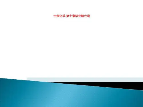 生物化学.第十章核苷酸代谢