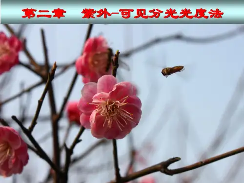 紫外可见分光光度法课件