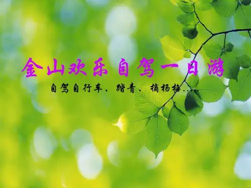 一日游旅游产品策划