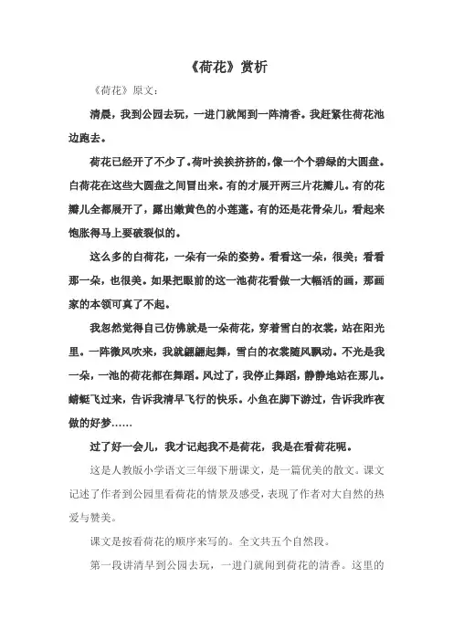 小学课文《荷花》赏析 2