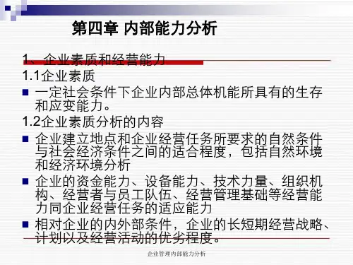 企业管理内部能力分析