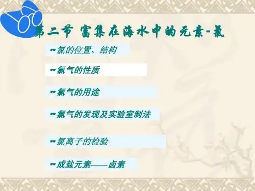 富集在海水中的元素——氯课件完整版