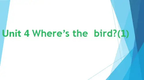 译林 英语 三年级下册  第四单元 Unit 4 Where's the bird