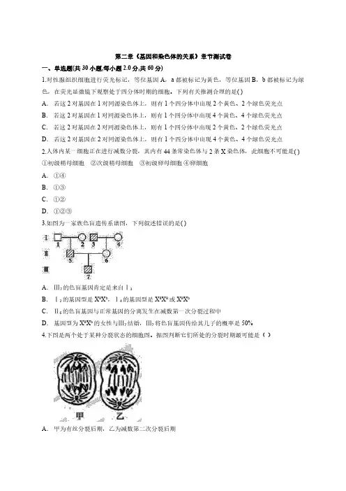 人教版高中生物必修2第二章《基因和染色体的关系》测试卷(含解析版)