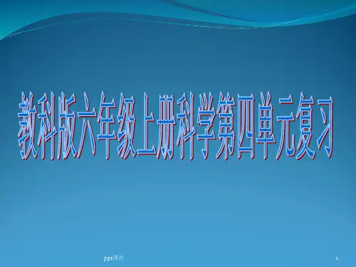教科版六年级上册科学第四单元复习讲解  ppt课件