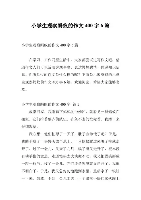 小学生观察蚂蚁的作文400字6篇