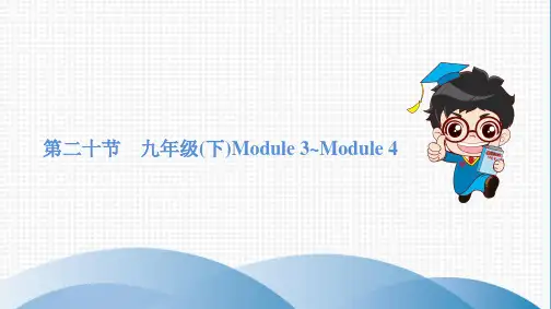 【2020高分突破中考英语 外研版】第二十节 九年级(下)Module 3~Module 4