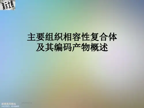 主要组织相容性复合体及其编码产物概述