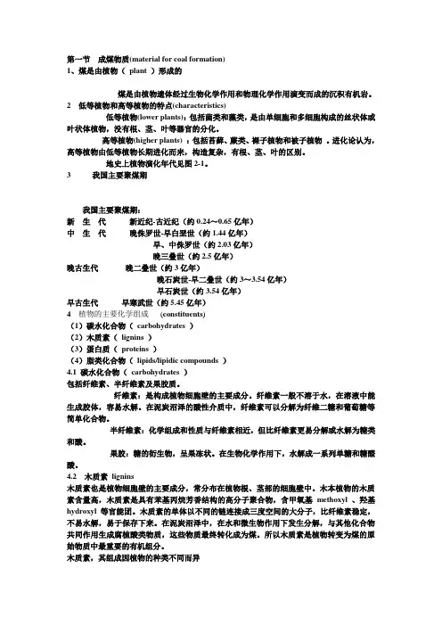 煤的形成 2