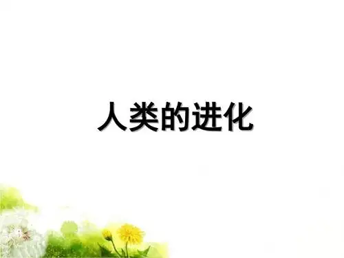 《人类的进化》课件2