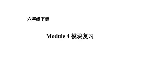 六年级下册英语课件-Module 4复习 外研版(一起) (共19张PPT)