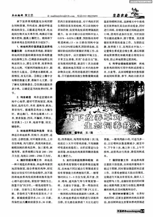 林下放养草鸡生态饲养技术