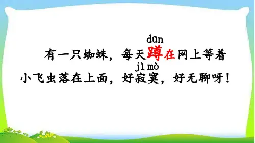 蜘蛛开店PPt(1)