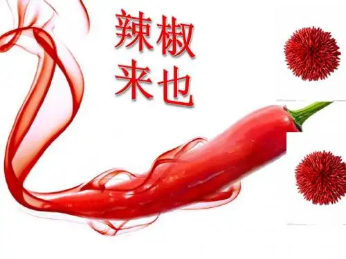 辣椒