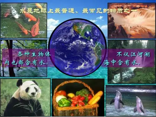 水的组成课件1 新人教版