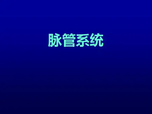 【人体解剖学PPT课件】.脉管系统、内分泌系统