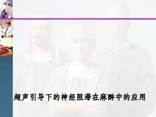 超声引导下的神经阻滞在麻醉中的应用PPT课件