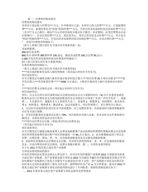 项目资金使用情况报告