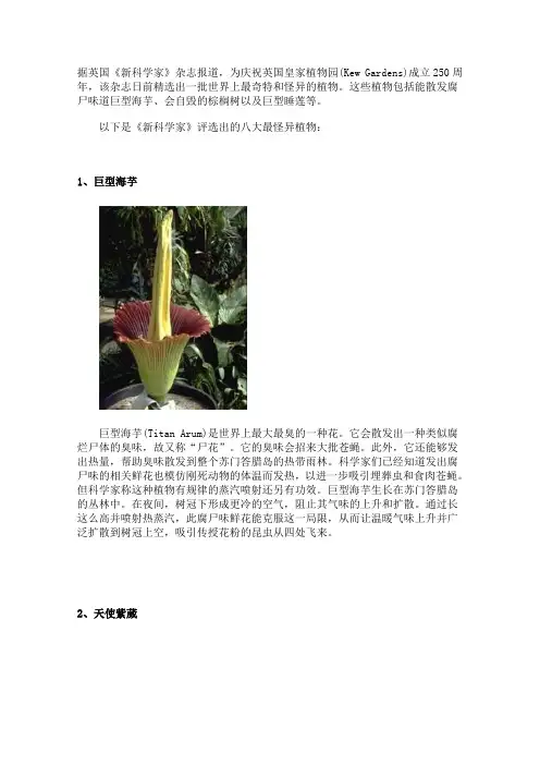 全球怪异的动植物有哪些