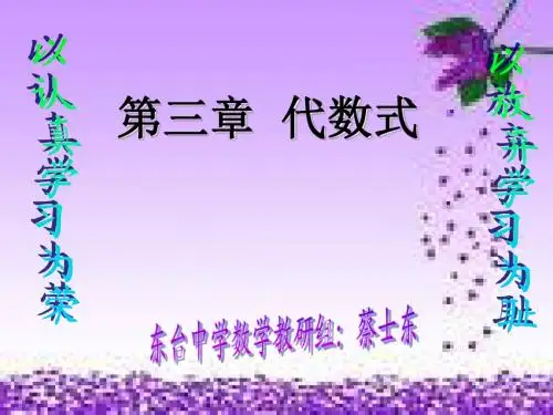 七年级数学上册_第三章代数式复习_