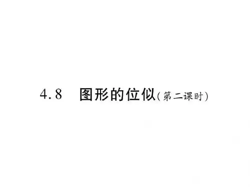 4.8 图形的位似(第二课时)