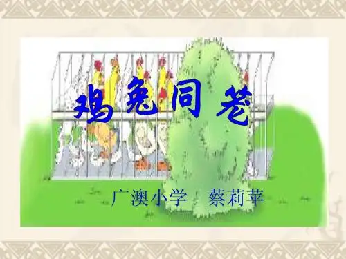 鸡兔同笼(1)