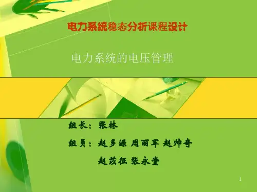 电力系统电压管理