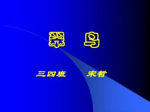 翠鸟2