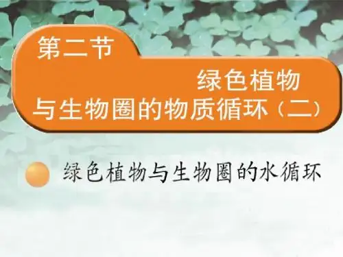 绿色植物与生物圈的水循环