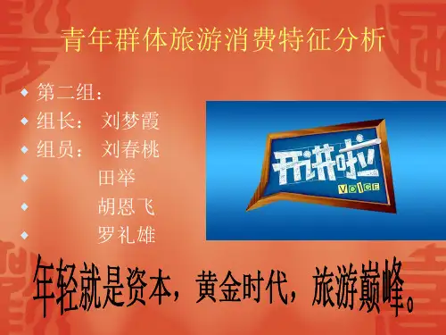 青年群体的旅游消费特征分析分解