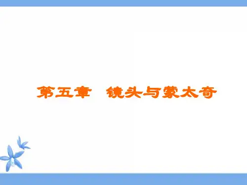 蒙太奇