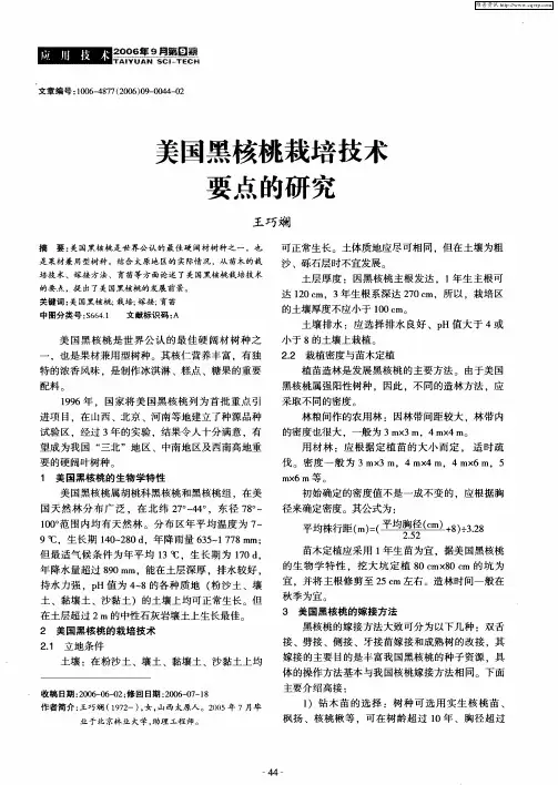 美国黑核桃栽培技术要点的研究