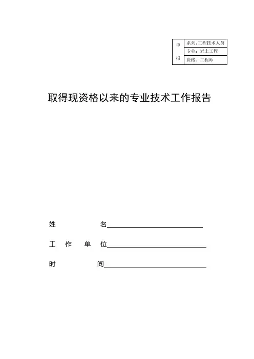 专项技术工作报告