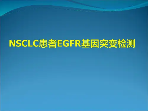 非小细胞肺癌患者EGFR基因检测