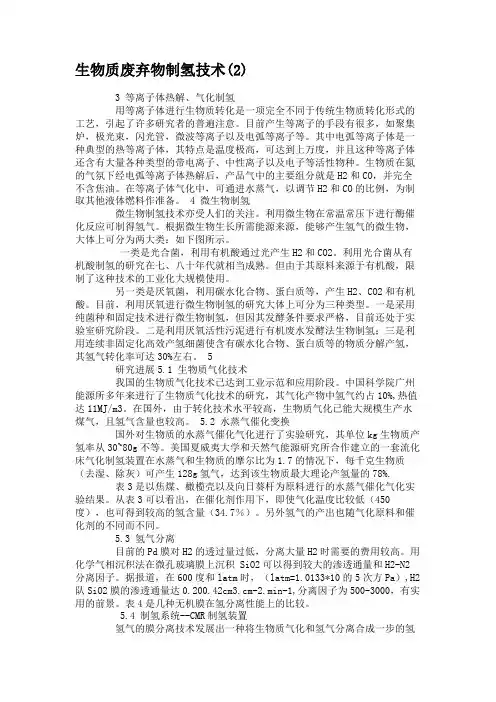 生物质废弃物制氢技术解读