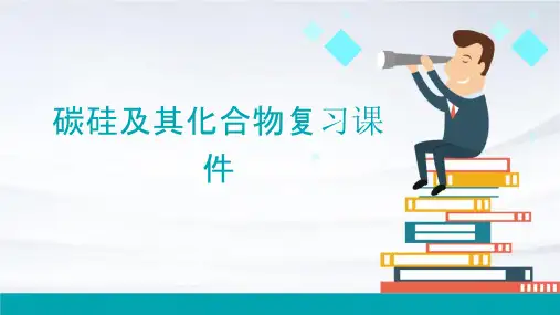 碳硅及其化合物复习课件