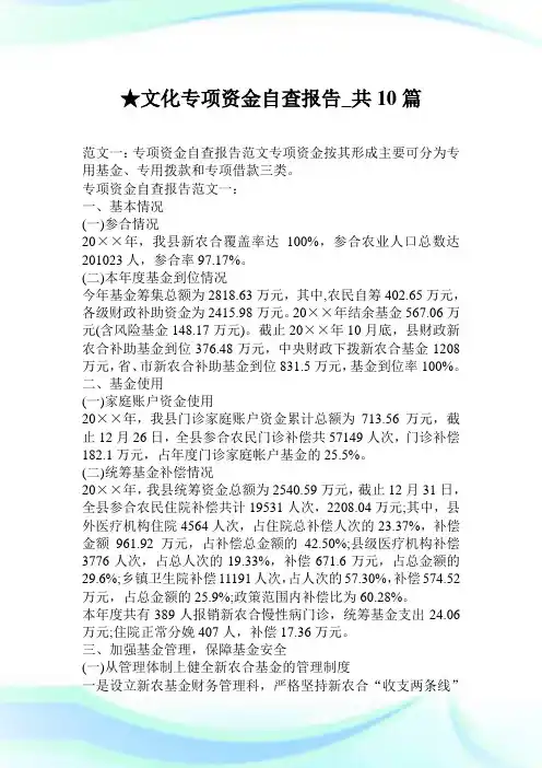 文化专项资金自查报告_共10篇.doc