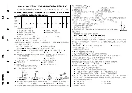 2013九年级化学第一次诊断性试题