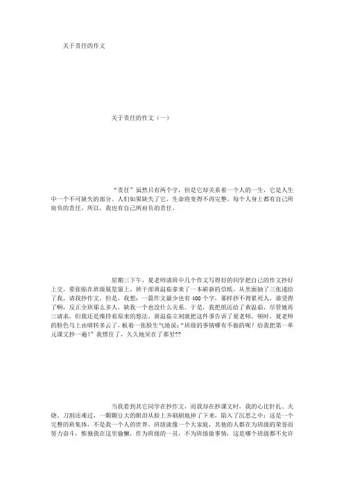 关于责任的作文 (精选范文)