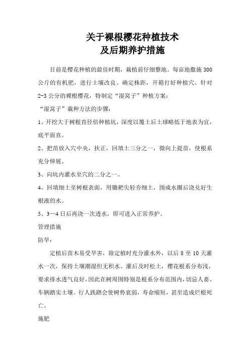 樱花种植技术及养护措施