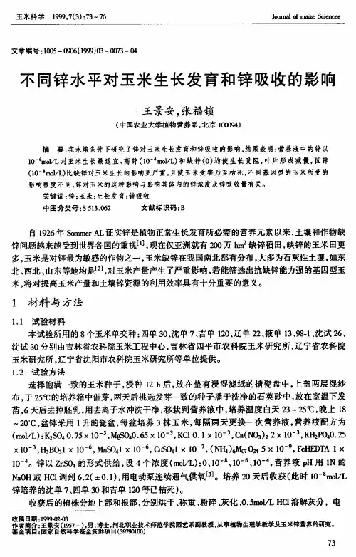 不同锌水平对玉米生长发育和锌吸收的影响