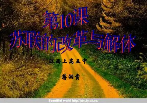 《苏联改革与解体》PPT课件