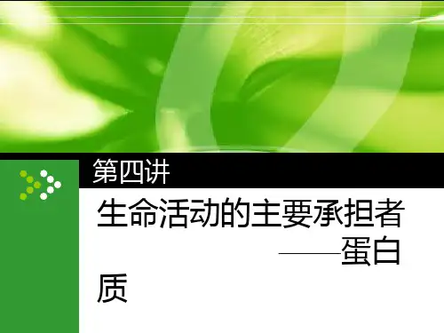第四讲  生命活动的主要承担者——蛋白质