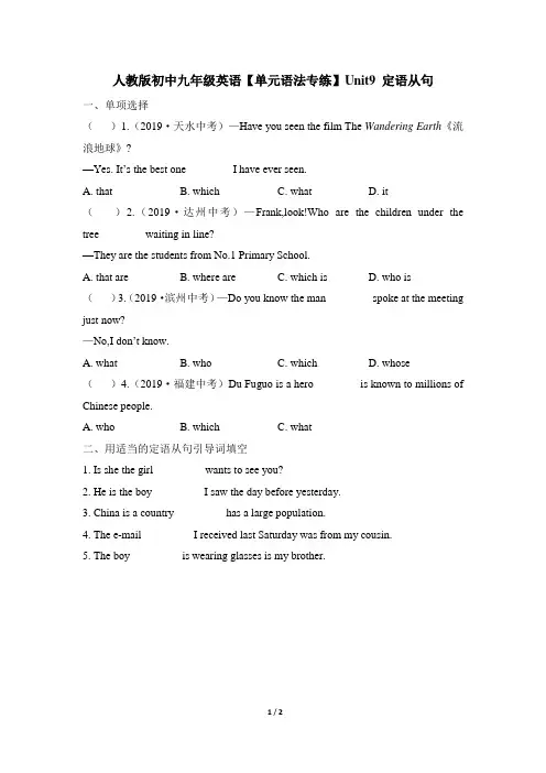 人教版初中九年级英语【单元语法专练】Unit9_定语从句