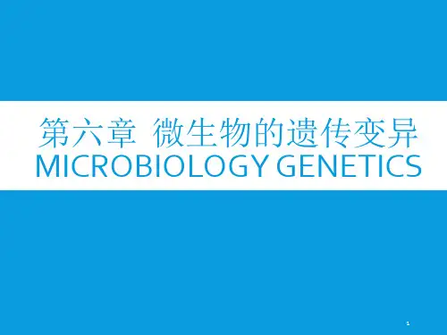 6畜牧微生物学-第六章-微生物的遗传与变异